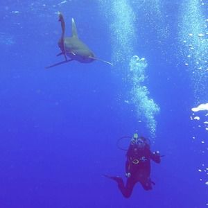 Meet your Posher, Liliane